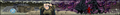 Thumbnail for version as of 13:09, 24 January 2021