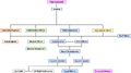 Thumbnail for version as of 19:11, 19 April 2021