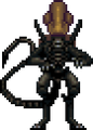 Thumbnail for version as of 04:02, 14 October 2018